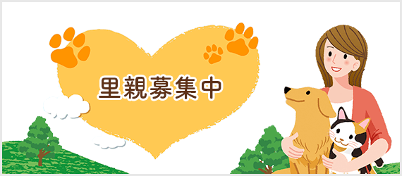 里親募集中